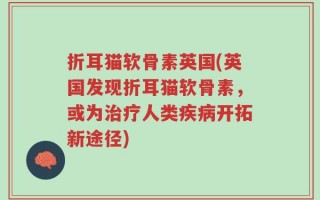 折耳猫软骨素英国(英国发现折耳猫软骨素，或为治疗人类疾病开拓新途径)