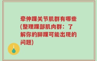 牵伸踝关节肌群有哪些(整理踝部肌肉群：了解你的脚踝可能出现的问题)