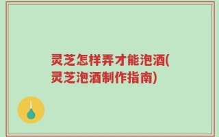 灵芝怎样弄才能泡酒(灵芝泡酒制作指南)