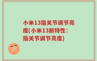 小米13指关节调节亮度(小米13新特性：指关节调节亮度)