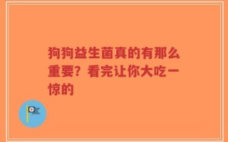 狗狗益生菌真的有那么重要？看完让你大吃一惊的