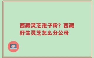 西藏灵芝孢子粉？西藏野生灵芝怎么分公母