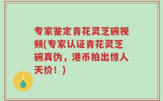 专家鉴定青花灵芝碗视频(专家认证青花灵芝碗真伪，港币拍出惊人天价！)