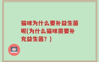 猫咪为什么要补益生菌呢(为什么猫咪需要补充益生菌？)