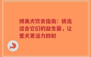 博美犬饮食指南：挑选适合它们的益生菌，让爱犬更活力四射