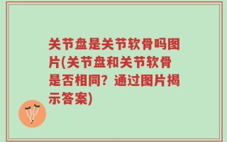 关节盘是关节软骨吗图片(关节盘和关节软骨是否相同？通过图片揭示答案)