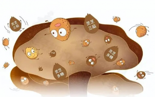 感染新冠后严重失眠怎么办？就这一招，保你睡到天亮