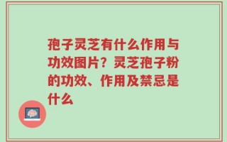 孢子灵芝有什么作用与功效图片？灵芝孢子粉的功效、作用及禁忌是什么