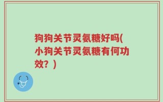 狗狗关节灵氨糖好吗(小狗关节灵氨糖有何功效？)