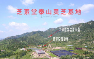 血糖高怎么治疗?糖尿病应该吃什么？