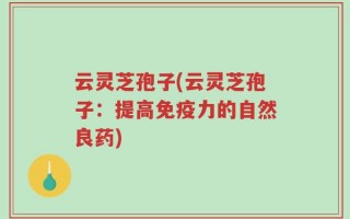 云灵芝孢子(云灵芝孢子：提高免疫力的自然良药)