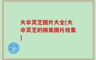 大伞灵芝图片大全(大伞灵芝的精美图片收集)