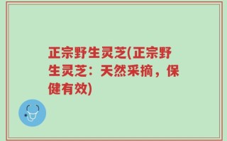 正宗野生灵芝(正宗野生灵芝：天然采摘，保健有效)