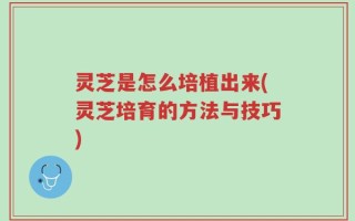 灵芝是怎么培植出来(灵芝培育的方法与技巧)