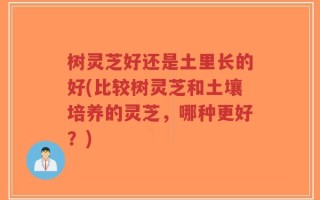 树灵芝好还是土里长的好(比较树灵芝和土壤培养的灵芝，哪种更好？)