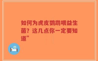 如何为虎皮鹦鹉喂益生菌？这几点你一定要知道”