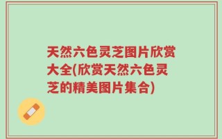 天然六色灵芝图片欣赏大全(欣赏天然六色灵芝的精美图片集合)