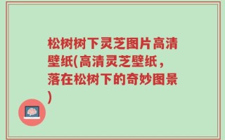 松树树下灵芝图片高清壁纸(高清灵芝壁纸，落在松树下的奇妙图景)