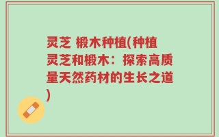 灵芝 椴木种植(种植灵芝和椴木：探索高质量天然药材的生长之道)