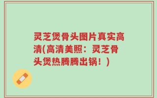 灵芝煲骨头图片真实高清(高清美照：灵芝骨头煲热腾腾出锅！)