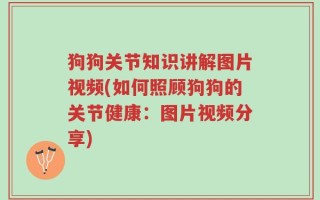 狗狗关节知识讲解图片视频(如何照顾狗狗的关节健康：图片视频分享)