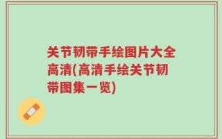 关节韧带手绘图片大全高清(高清手绘关节韧带图集一览)