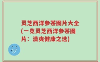 灵芝西洋参茶图片大全(一览灵芝西洋参茶图片：清爽健康之选)