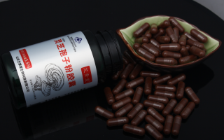 破壁灵芝孢子粉哪里的质量最好？理由是什么？