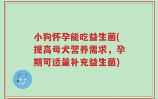 小狗怀孕能吃益生菌(提高母犬营养需求，孕期可适量补充益生菌)