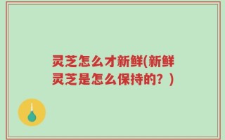 灵芝怎么才新鲜(新鲜灵芝是怎么保持的？)