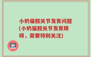 小奶猫髋关节发育问题(小奶猫髋关节发育障碍，需要特别关注)