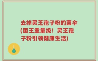 去掉灵芝孢子粉的菌伞(菌王重量级！灵芝孢子粉引领健康生活)