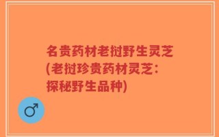 名贵药材老挝野生灵芝(老挝珍贵药材灵芝：探秘野生品种)