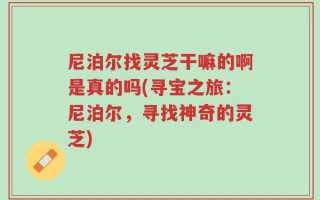 尼泊尔找灵芝干嘛的啊是真的吗(寻宝之旅：尼泊尔，寻找神奇的灵芝)