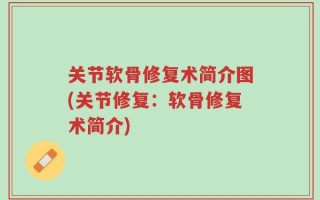 关节软骨修复术简介图(关节修复：软骨修复术简介)