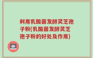 利用乳酸菌发酵灵芝孢子粉(乳酸菌发酵灵芝孢子粉的好处及作用)