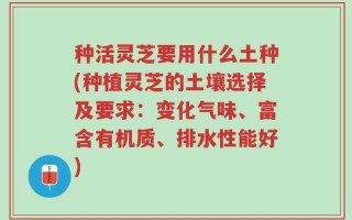 种活灵芝要用什么土种(种植灵芝的土壤选择及要求：变化气味、富含有机质、排水性能好)