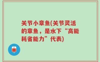 关节小章鱼(关节灵活的章鱼，是水下“高能耗省能力”代表)