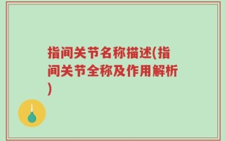 指间关节名称描述(指间关节全称及作用解析)