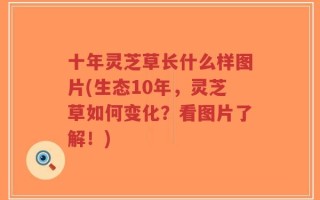 十年灵芝草长什么样图片(生态10年，灵芝草如何变化？看图片了解！)