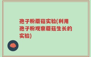 孢子粉蘑菇实验(利用孢子粉观察蘑菇生长的实验)