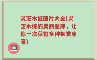 灵芝木桩图片大全(灵芝木桩的美丽图库，让你一次获得多种视觉享受)