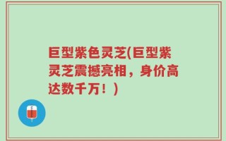 巨型紫色灵芝(巨型紫灵芝震撼亮相，身价高达数千万！)