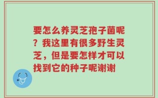 要怎么养灵芝孢子菌呢？我这里有很多野生灵芝，但是要怎样才可以找到它的种子呢谢谢