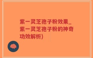 紫一灵芝孢子粉效果_紫一灵芝孢子粉的神奇功效解析)
