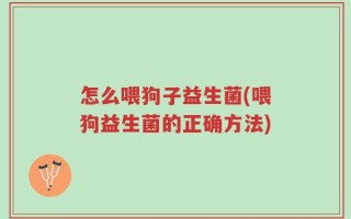 怎么喂狗子益生菌(喂狗益生菌的正确方法)