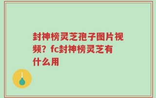 封神榜灵芝孢子图片视频？fc封神榜灵芝有什么用