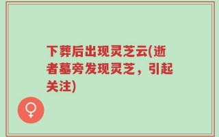 下葬后出现灵芝云(逝者墓旁发现灵芝，引起关注)