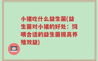 小猪吃什么益生菌(益生菌对小猪的好处：饲喂合适的益生菌提高养殖效益)