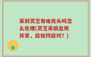 采到灵芝有啥兆头吗怎么处理(灵芝采摘出现异常，应如何应对？)